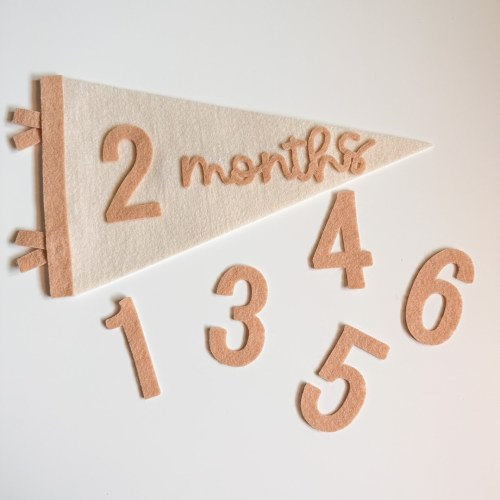 Baby Milestone Bunting Flag Photo Prop | Baby’s First Year | Felt Bunting Flag | Nursery Decor | Baby Shower Gift | Newborn Gift