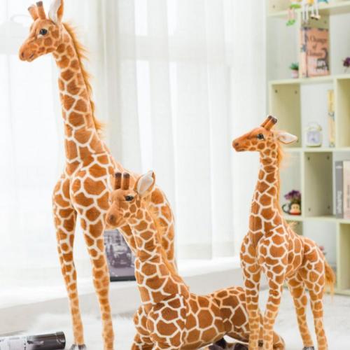 Mega Sized Gili the Giraffe