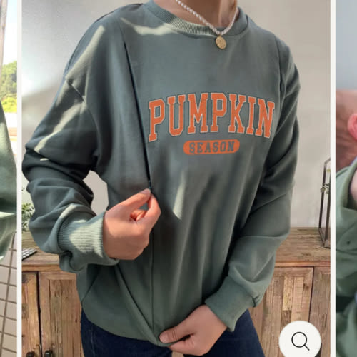 Pumpkin Season Nursing Sweatshirt
