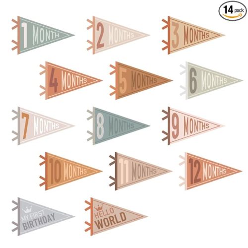 VitalCozy 14 Pcs Baby Milestone Pennant Signs Monthly Milestone Banner Flags Pennant Triangle Banner Age Flag Signs for Boy Girl Newborn Birthday Party Decor(Assorted Colors)