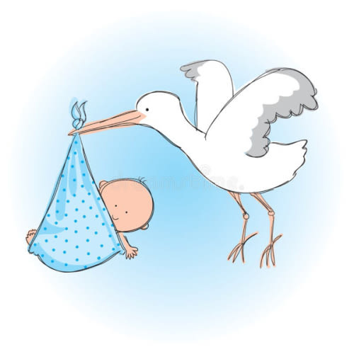 Birth Expenses Fund