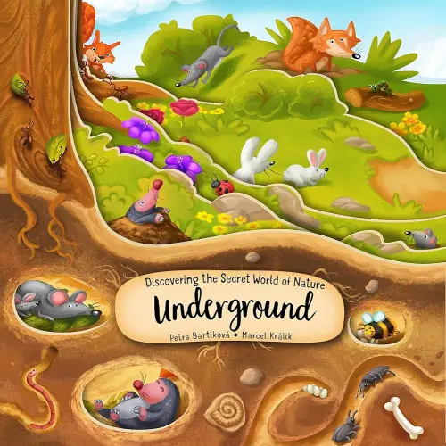 Discovering the Secret World of Nature Underground (Happy Fox Books) Board Book Takes Kids Ages 3-6 Deep into the Ground with Every Turn of the Page, plus Fun Facts and Vocabulary Words (Peek Inside)