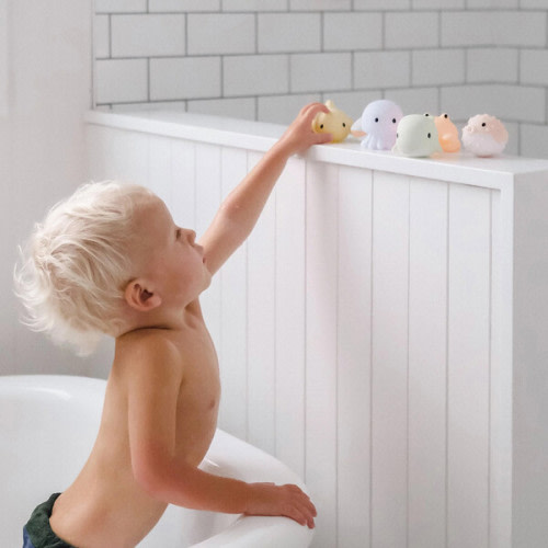Splash Toys: Sea Animal - Ocean Friends, Multi - Sunnylife | Maisonette