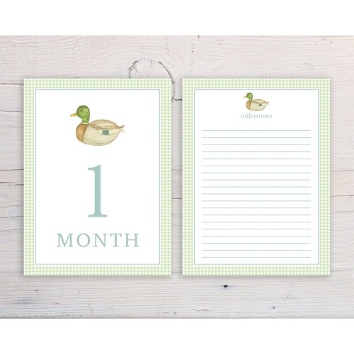 Baby Boy Monthly Milestone Cards, Mallard Duck Milestone Cards