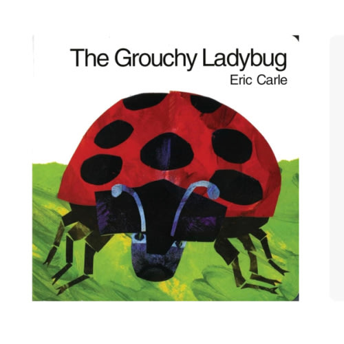 The Grouchy Ladybug