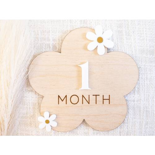 Baby monthly milestone wood sign | daisy flower milestone card for baby girl | newborn milestone photo prop | baby shower gift