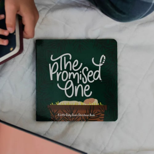 The Promised One - Board Book | TDGC – The Daily Grace Co.