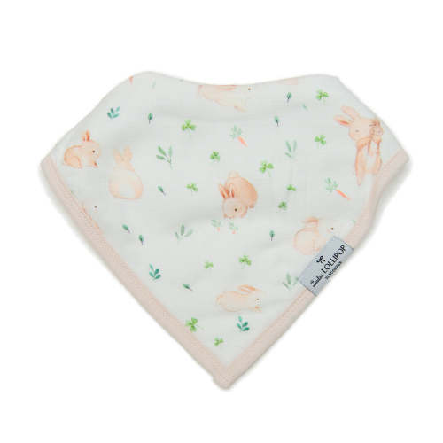 Bandana Bib Set