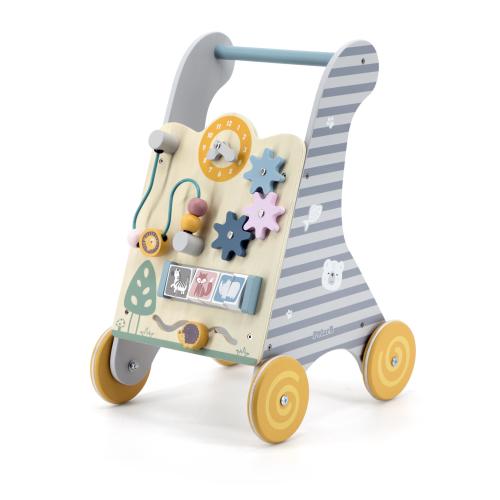 PolarB Activity Baby Walker