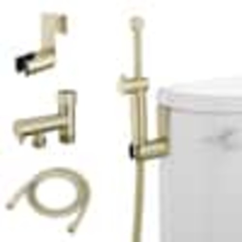 HOMEMYSTIQUE Handheld Brass Bidet Sprayer for Toilet, Wall Mount in Brushed Gold HDBID0003