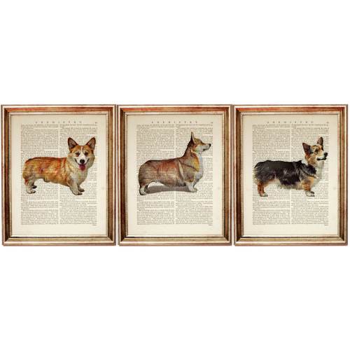Set of 3 Art Print, Pembroke Welsh Corgi Wall Art, Corgi Wall Art, Dog Dictionary Art Print Set, Dog Nursery Poster Artwork