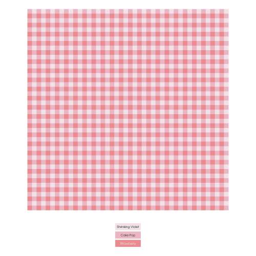 Print Footie with 2 Way Zipper in Cake Pop Gingham 6-9M