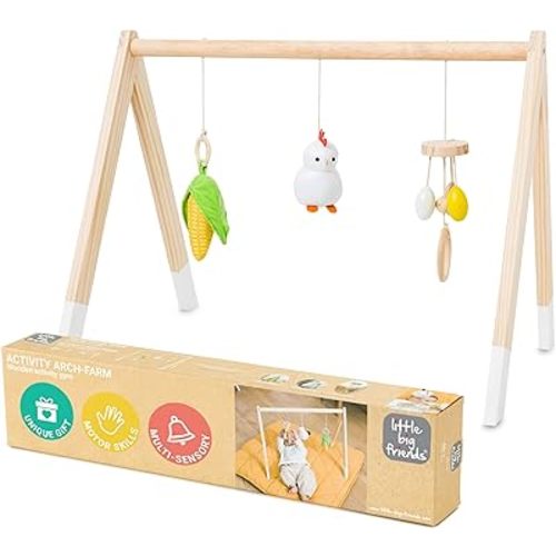 Little Big Friends Wooden Activity Gym | Montessori Toy Encourages Early Motor Skills | Farm