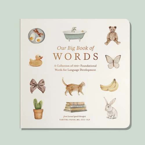 OUR BIG BOOK OF FIRST WORDS
