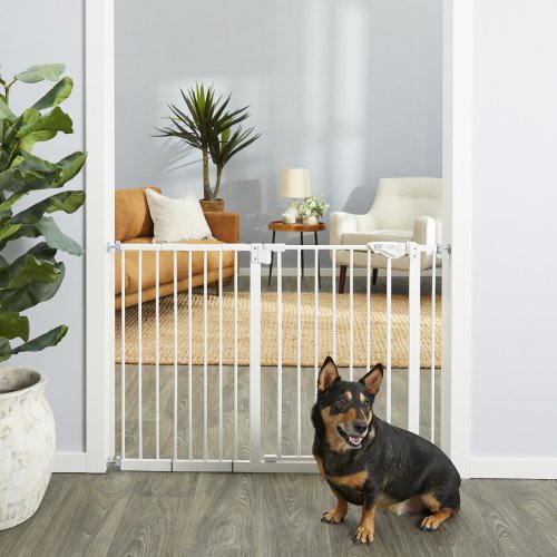 FRISCO Steel Extra Wide Auto-Close Dog Gate, White, 30-in - Chewy.com