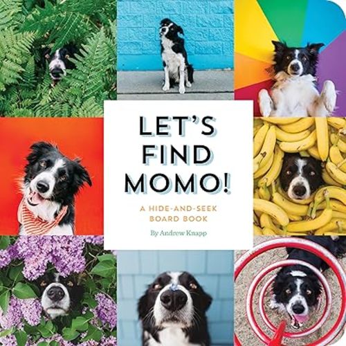 Let's Find Momo!: A Hide-and-Seek Board Book Board book – Picture Book, April 18, 2017