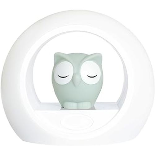 Zazu Kids Voice Activated Nightlight Lamp - Sleep Trainer, Grey Owl Lou