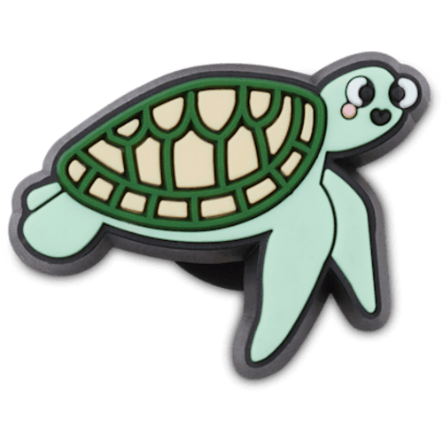 Tiny Sea Turtle