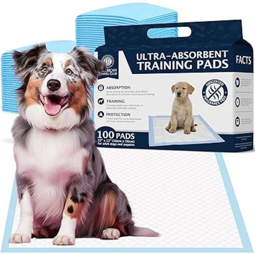American Kennel Club Puppy Training Pads with Ultra Absorbent Quick Dry Gel – 22 x 22 Pee Pads for Dogs - 100 Count (Unscented)
