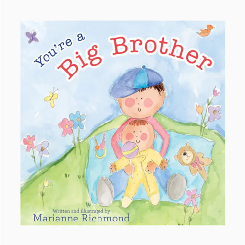 You're a Big Brother Storybook