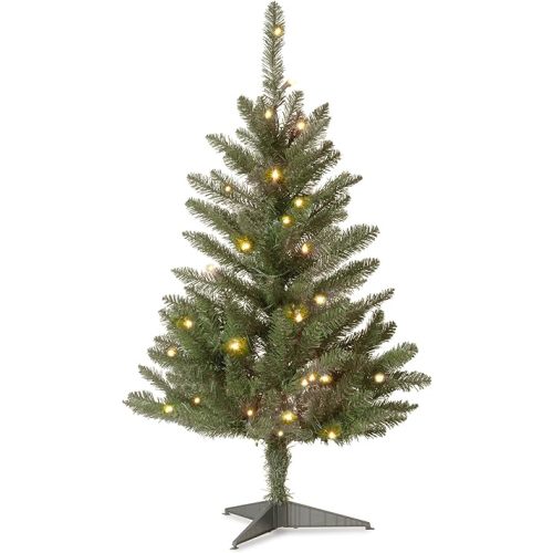 National Tree Company Artificial Mini Christmas Tree, Green, Kingswood Fir, Includes Stand, 3 Feet