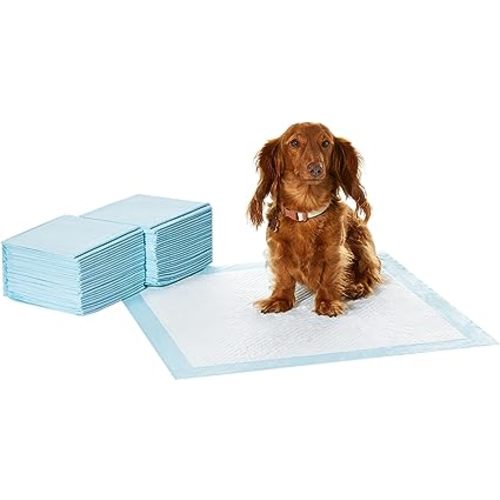 Amazon Basics Dog and Puppy Pee Pads with 5-Layer Leak-Proof Design and Quick-Dry Surface for Potty Training, Standard Absorbency, Regular Size, 22 x 22 Inch - Pack of 50, Blue & White - Unscented - Regular (50 Count)