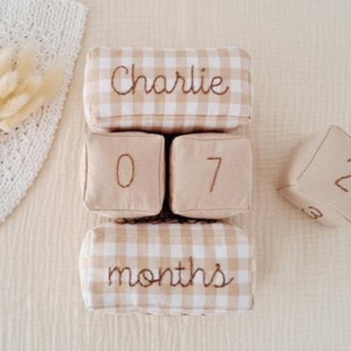 Etsy - Baby Milestone Blocks