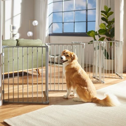 FRISCO Steel 8-Panel Configurable Dog Gate and Playpen, 30-in, Grey - Chewy.com