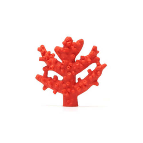 Coral Baby Teether Toy – Acme Baby Co. LLC