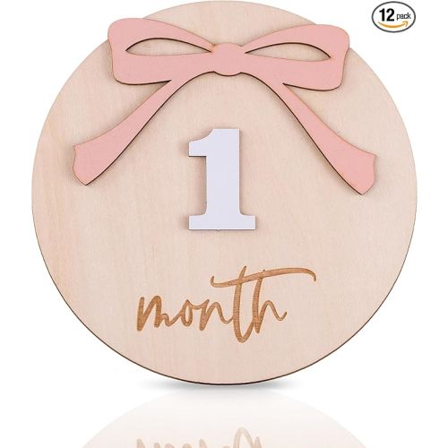 Daisy 3D Baby Monthly Milestone, Wooden Baby Milestone Signs, Monthly Milestone Wood Discs, Baby Milestone Discs (A24)