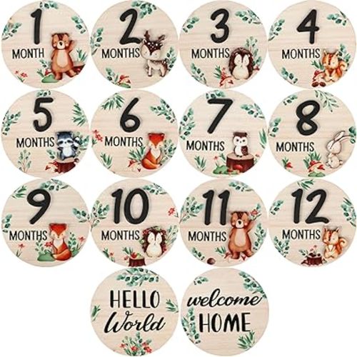 7 Pcs Baby Monthly Milestone Marker Discs Woodland Animal Monthly Milestone Wooden Discs Double-Sided 3D Baby Growth Sign Cards for Babies Photos Announcement Sign, 1-12 Months