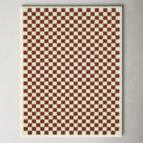 Walker Checkered Burnt Orange/Cream Shag Area Rug