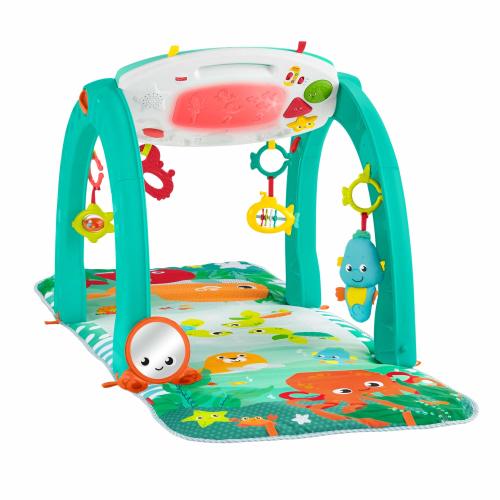 Fisher-Price 4-in-1 Ocean Activity Center, Blue/Green