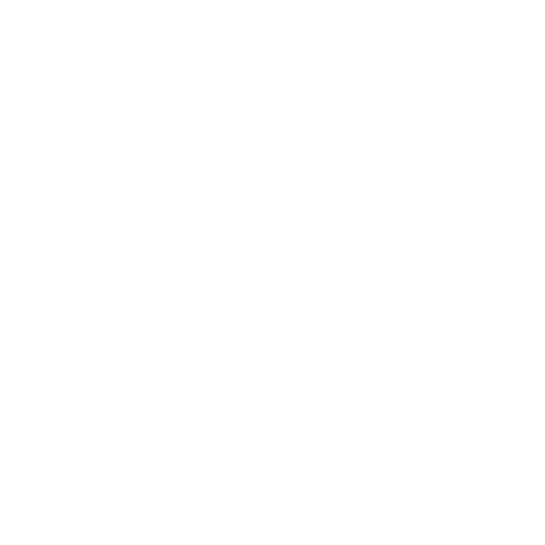 Picnic Friends | Amanda Marie Illustrations