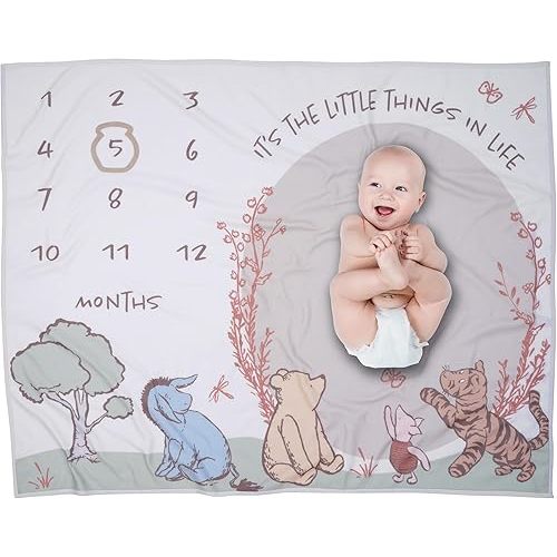 Lambs & Ivy Pooh Bear and Pals Photo Opportunity Milestone Fleece Baby Blanket