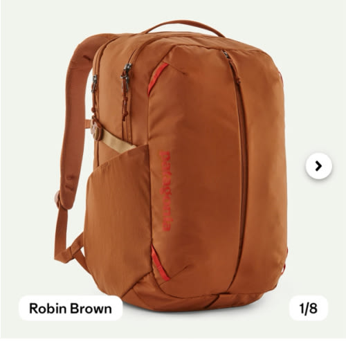 Patagonia Refugio Daypack 26L
