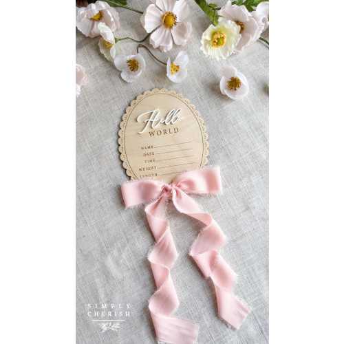 Personalized Birth Stat Name Sign with Ribbon Bow, Newborn Hospital Photo Prop, Hello World Baby Announcement, Baby Shower Gift