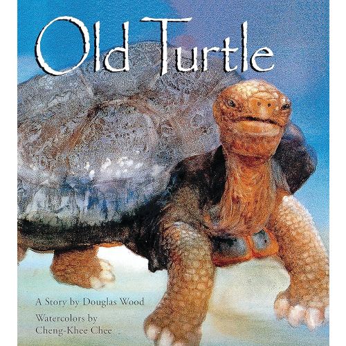 Old Turtle (Lessons of Old Turtle)