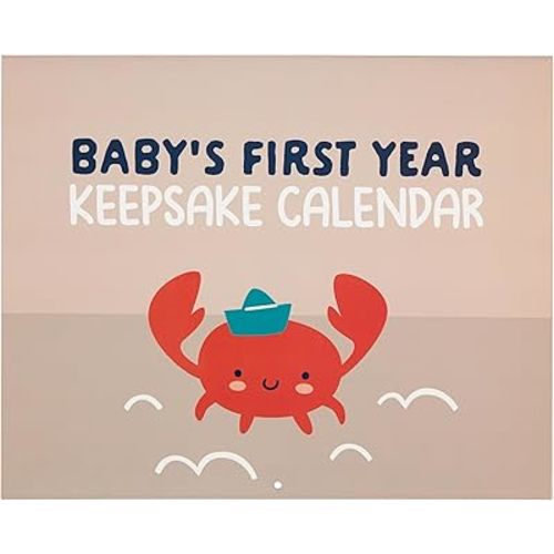 C.R. Gibson The World is Your Oyster Baby Milestone Calendar - Adventure-Themed Baby's First Year Calendar