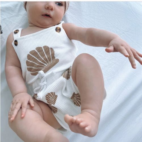 Seashell Set