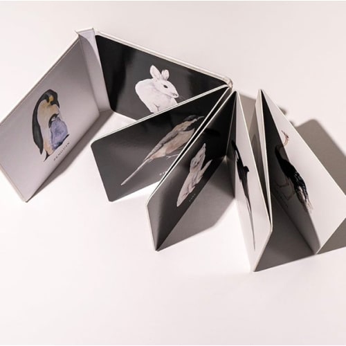 Baby's Black and White Contrast Book: High-Contrast Art for Visual Stimulation at Tummy Time (Tabitha Paige Children's Book Series)