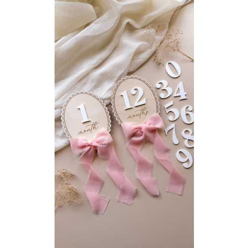 Baby Monthly Milestone Sign with Ribbon Bow, Two Wood Signs for Month and Months with Acrylic Numbers, Nursery Photo Prop, Baby Shower Gift
