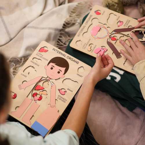 Wooden Human Anatomy Puzzle, Kids Montessori Learning Set, Educational Birthday Gift, Montessori Toy