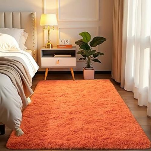 Softlife Area Rug for Bedroom, 4x6 Feet Plush Fluffy Rug for Living Room, Orange Shag Rug for Aesthetic Room Decor, Ultra Soft Modern Fuzzy Faux Fur Carpet for Kids Nursery Room Dorm