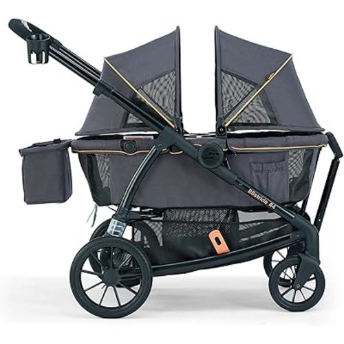Pamo Babe All-Terrain Wagon Stroller for Two Kids, Double Stroller with Push or Pull Handle, Canopy, Storage Basket, Dinner Plate, Oversized Damping Wheels, Mosquito Net and Rain Cover Grey