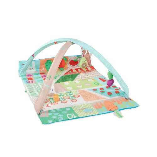 Farmstand Grow & Play Activity Gym - Skip Hop | Carter's