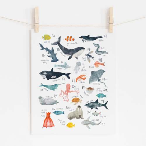 Sea Animals Alphabet Poster, 16x20