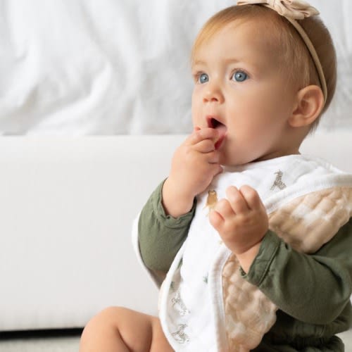 organic cotton burpy bibs 2 pack