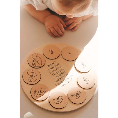 Miracle of Life Puzzle