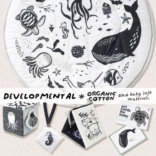 Developmental Bundle for Baby - Ocean